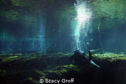 Taken at Ginnie Springs, FL.  Diver over the top of the c... by Stacy Groff 